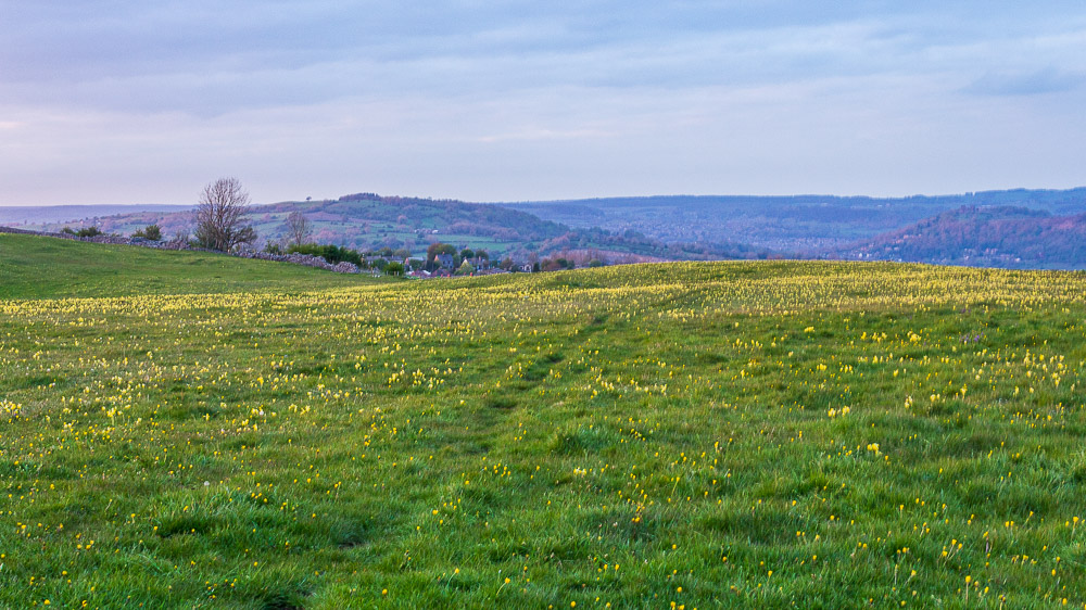 Derwent Valley